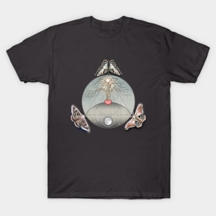 Three: An allegory for Transformation T-Shirt